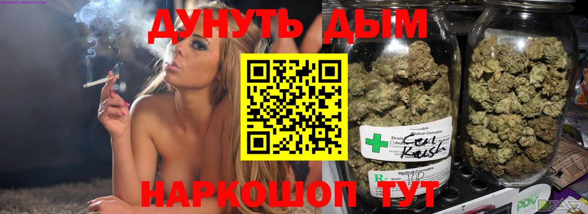 Алексин  Бошки марихуана марихуана  Канабис гибрид  Марихуана сатива  Вход с VPN 